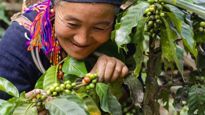 Laos culture café