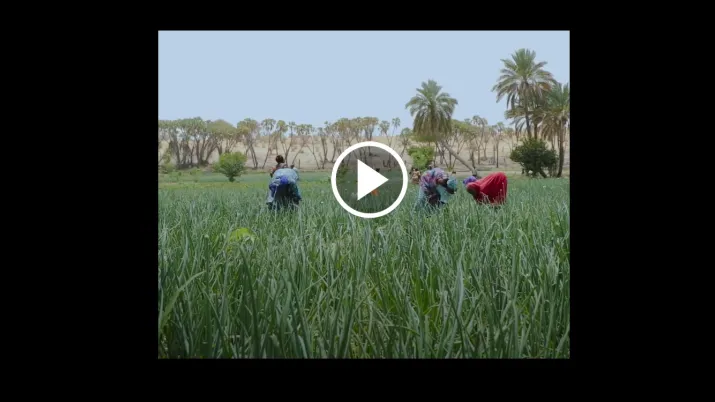 Niger