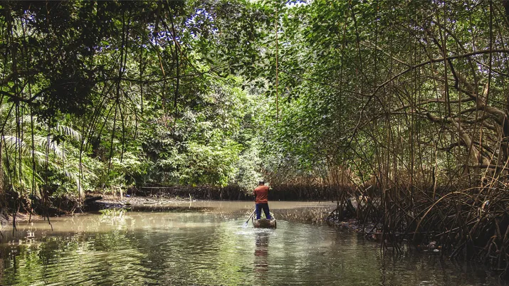 Parque Nacional de Gabón
