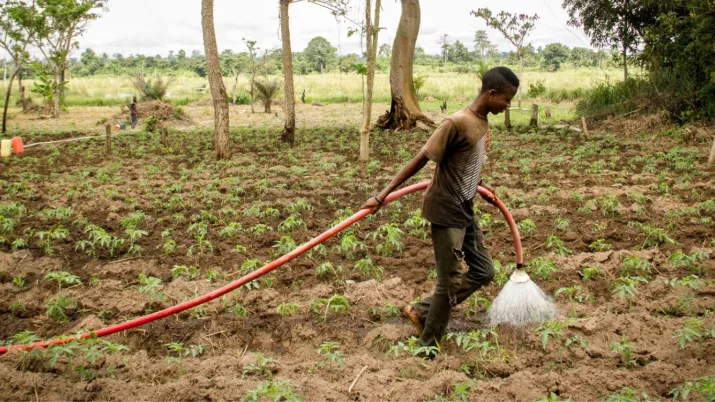 Agriculture Afrique