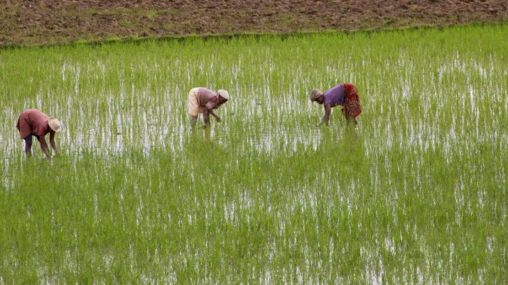 Agroécologie