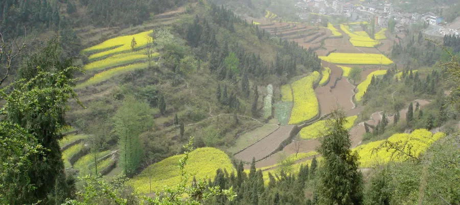 Nature, Chine