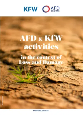Position Paper Loss and Damage AFD and KfW
