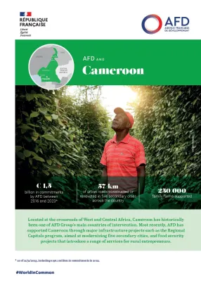 AFD and Cameroon