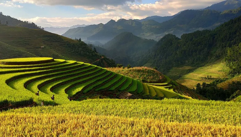 Gemmes Vietnam
