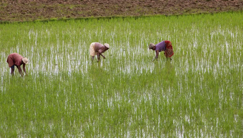 Agroécologie
