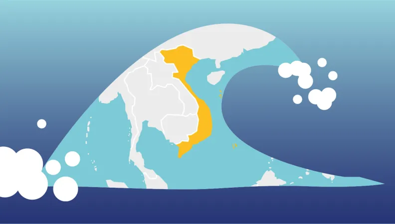 Infographie Vietnam