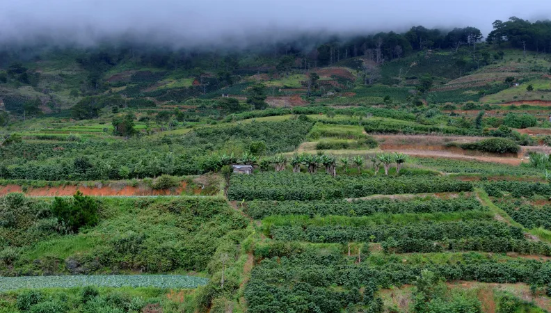 ESGAP Vietnam