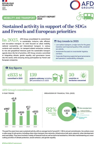 Mobility and transport: Activity report 2025
